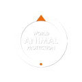 World Animal Protection