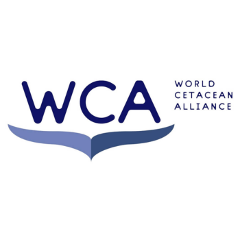 World Cetacean Alliance