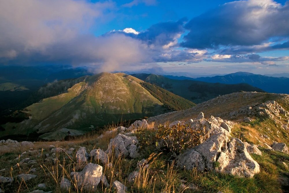 Apennines Marsican Bear Heritage Area