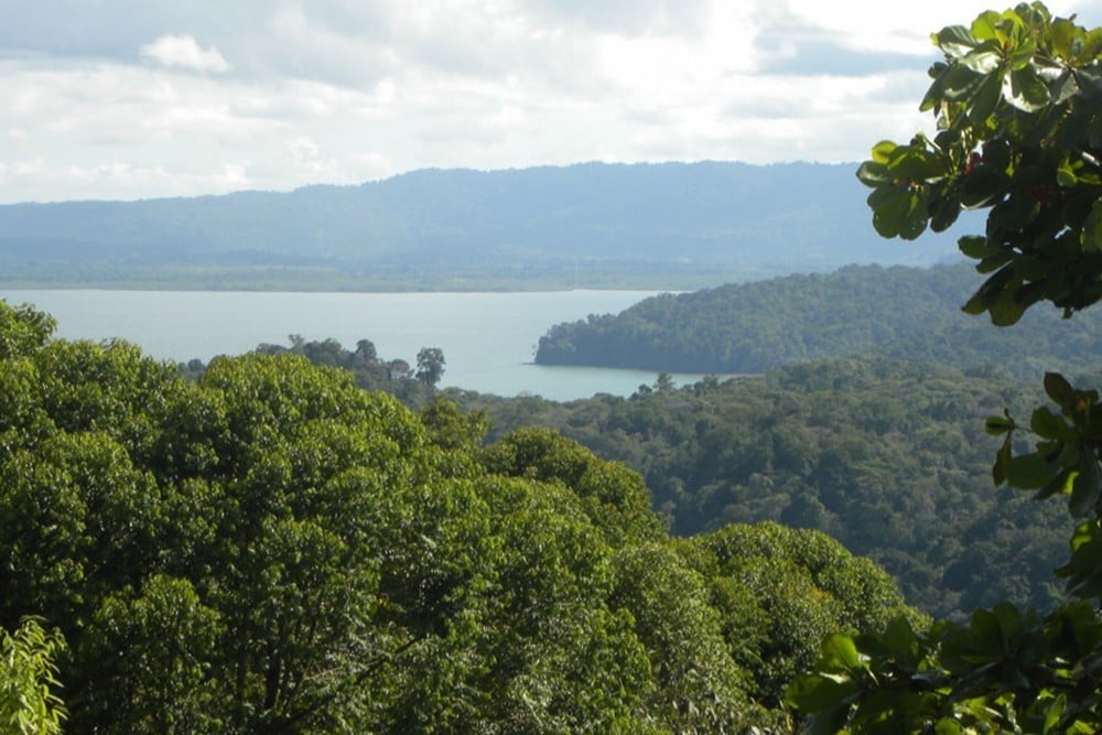 Golfo Dulce Whale Heritage Area