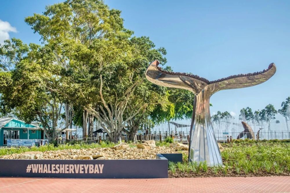 Hervey Bay Whale Heritage Area