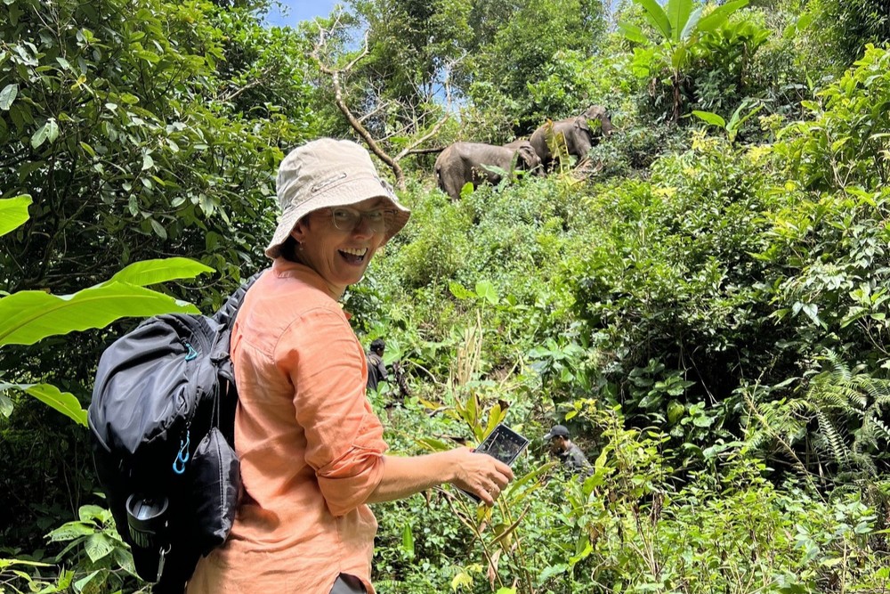 LIFE Elephant Heritage Area