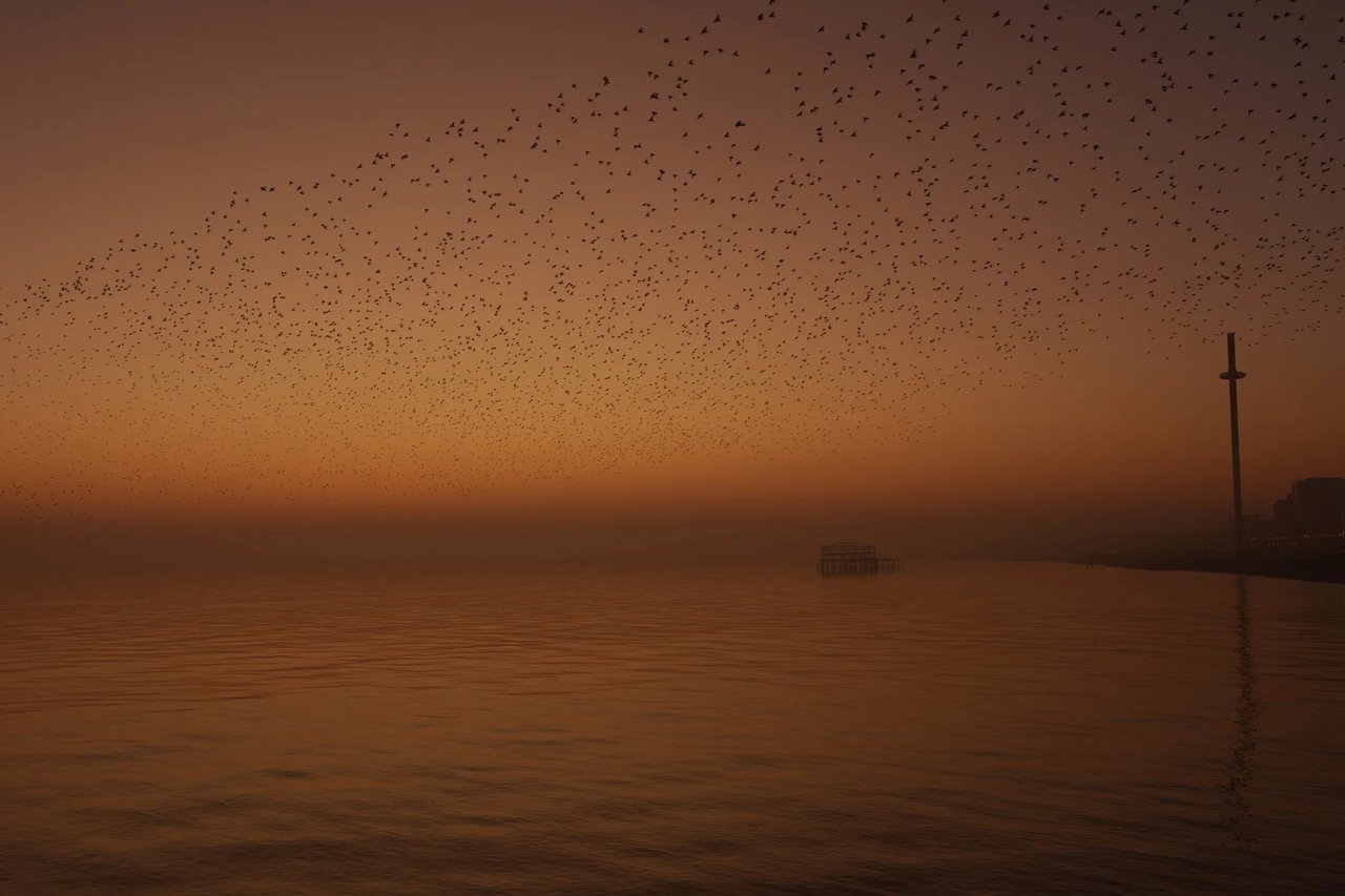 Starling City