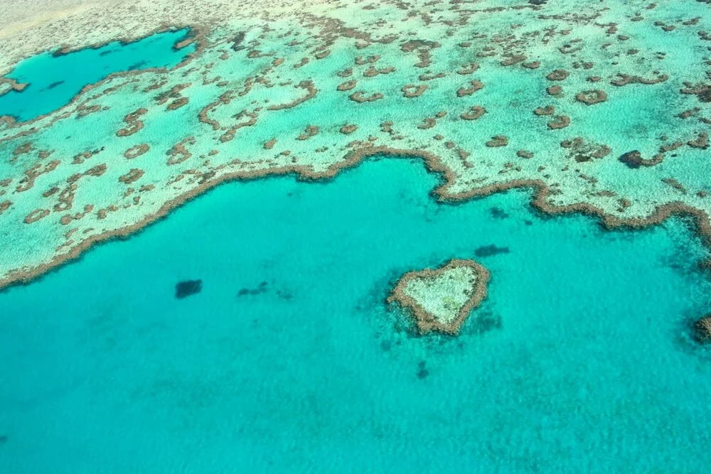 Whitsundays Whale Heritage Area