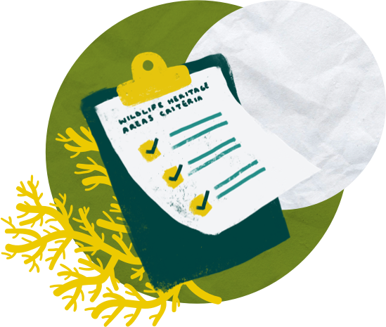 A graphic of a checklist