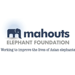 Mahouts Elephant Foundation
