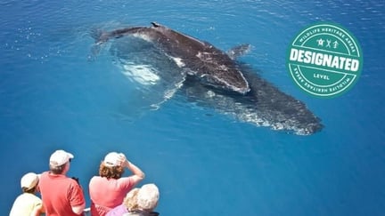 Hervey Bay Whale Heritage Area