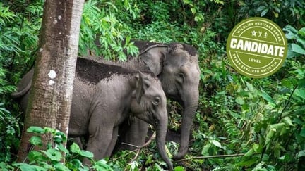 LIFE Elephant Heritage Area