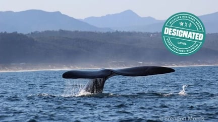 Plettenberg Bay Whale Heritage Area