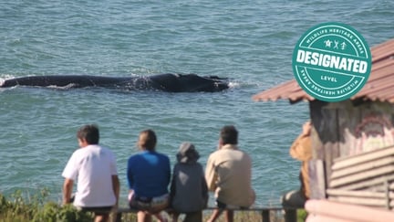 Santa Catarina Nursery Whale Heritage Area