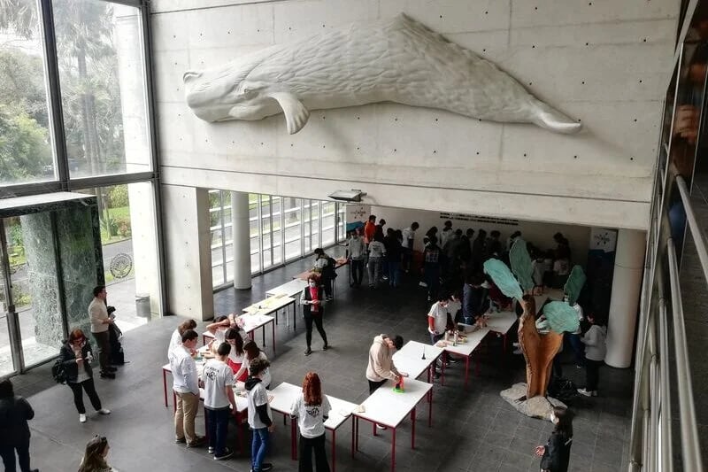 Education and research at Azores