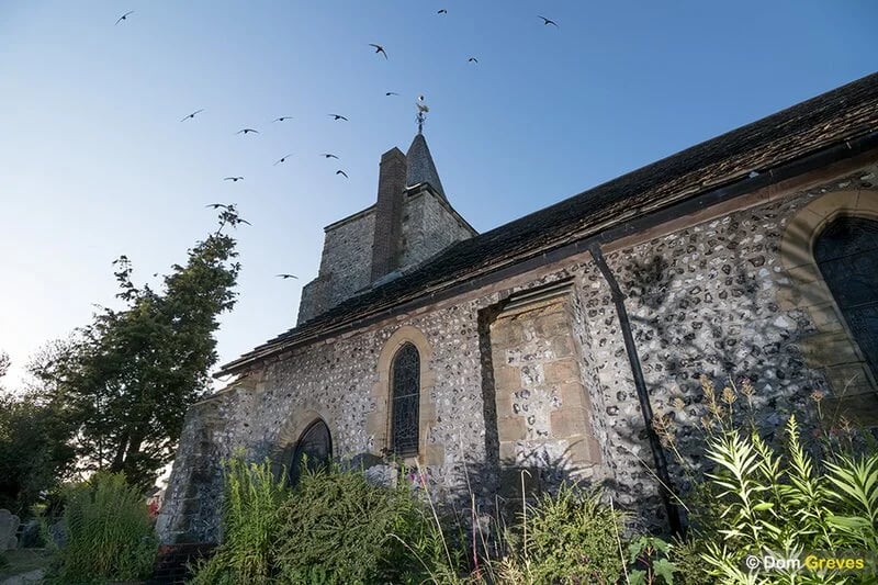 Saving Lewes' Swifts