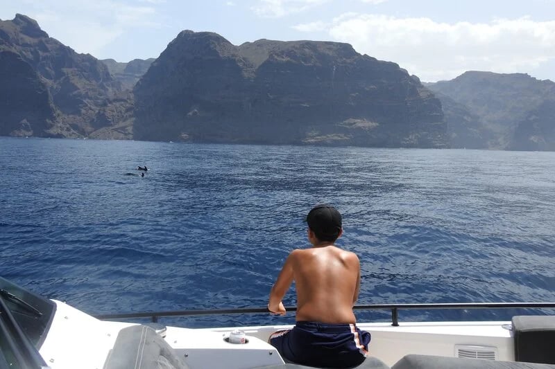 Human-cetacean conflict solutions - Tenerife