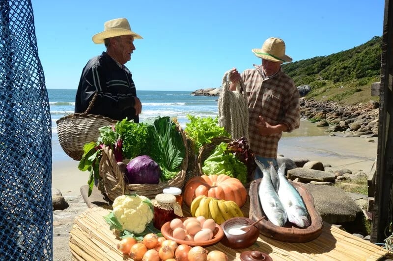 Costa Catarina Territorial Development Association (ADTC)