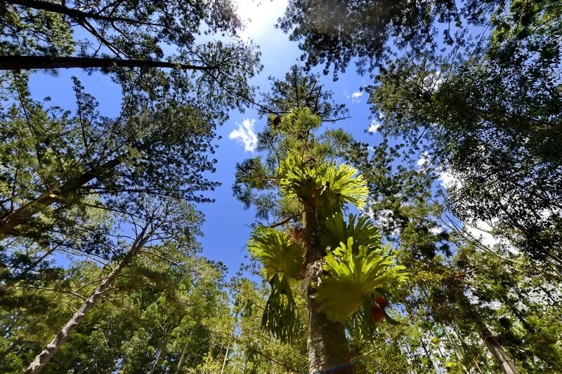Sustainability at Hervey Bay