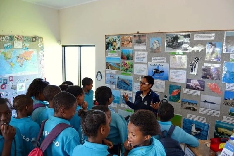Education and research at Algoa Bay