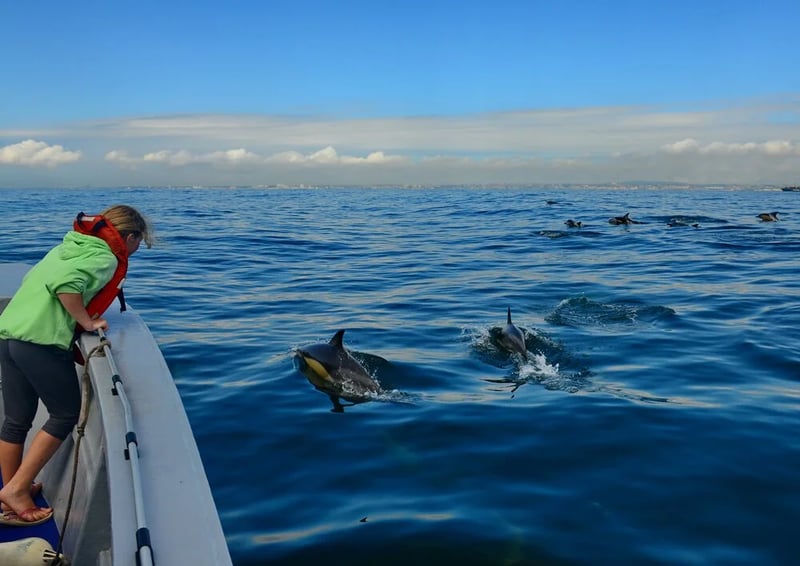 Raggy Charters Whale Watching