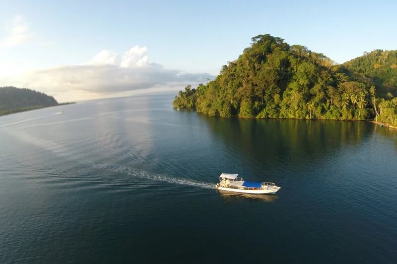 Human-cetacean conflict solutions - Golfo Dulce