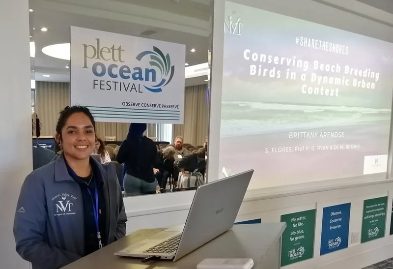 Plett Ocean Festival