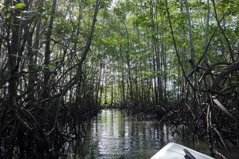 Sustainability at Golfo Dulce