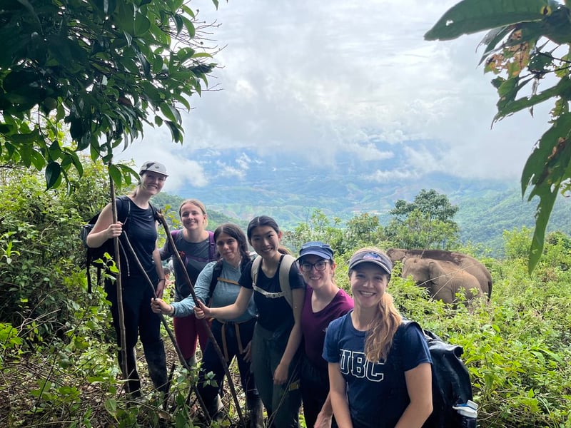 volunteering with elephants