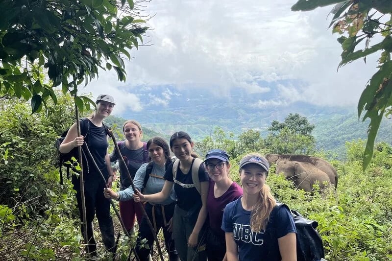 Living In the Forest with Elephants (LIFE)