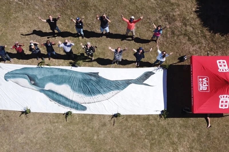 Collaboration for the sake of cetaceans - Algoa Bay