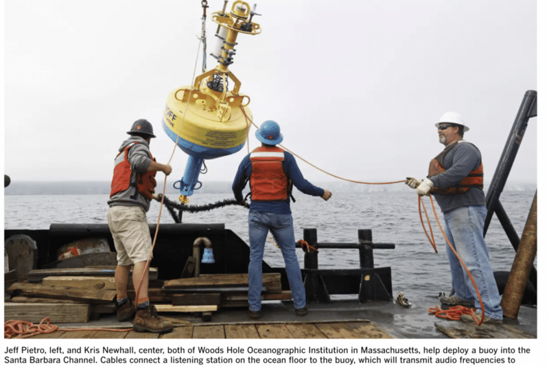 Human-cetacean conflict solutions - Santa Barbara