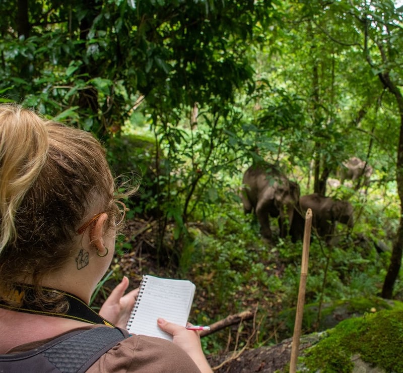Field course: Asian Elephants in Context