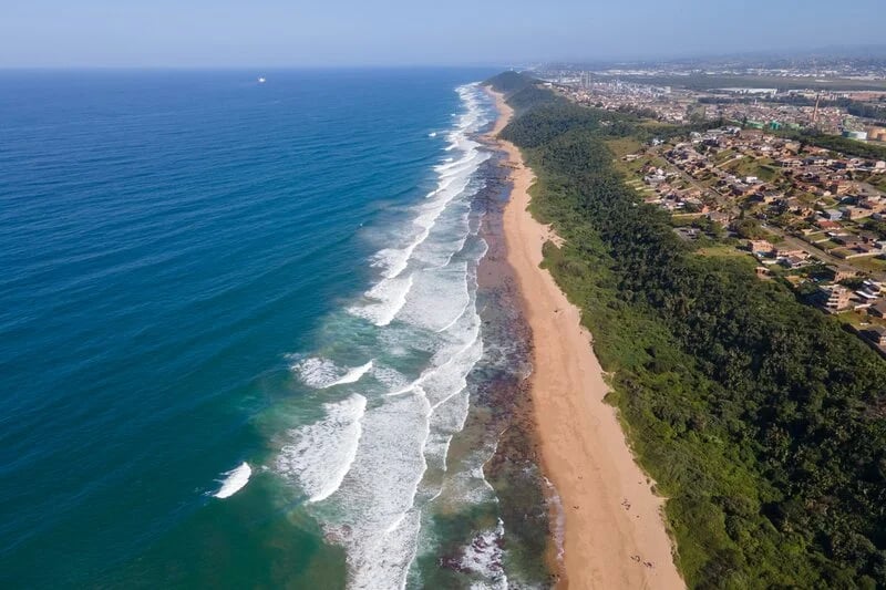 Conservation success at The Bluff