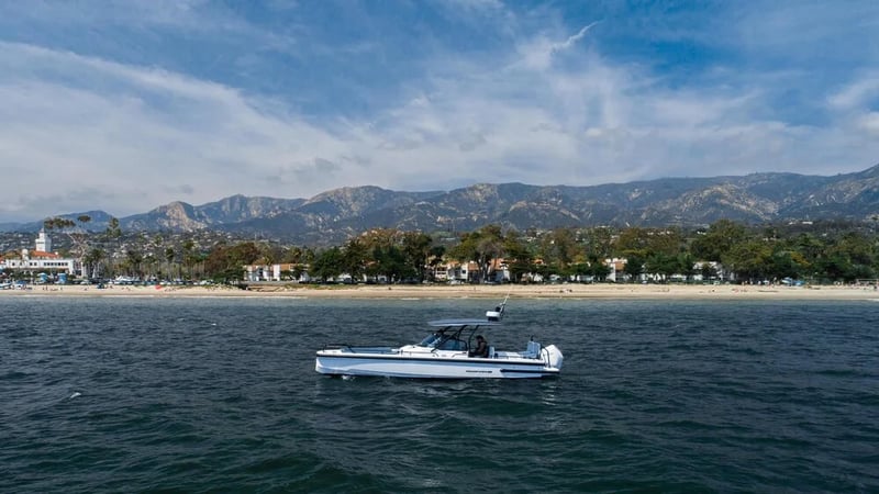 Santa Barbara Whale Watch