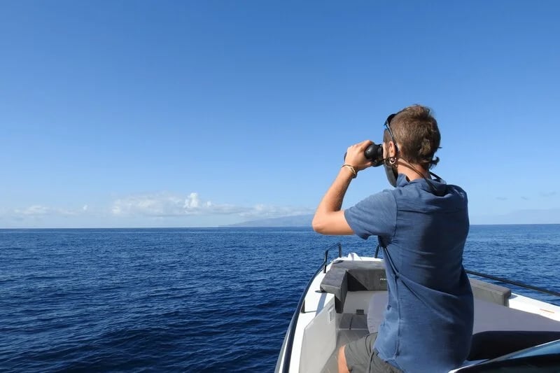Conservation success at Tenerife
