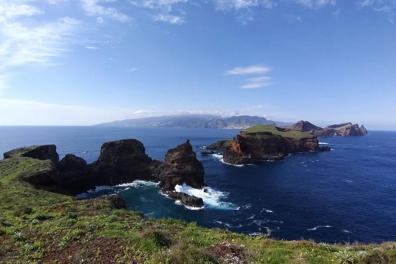 Conservation success at Madeira