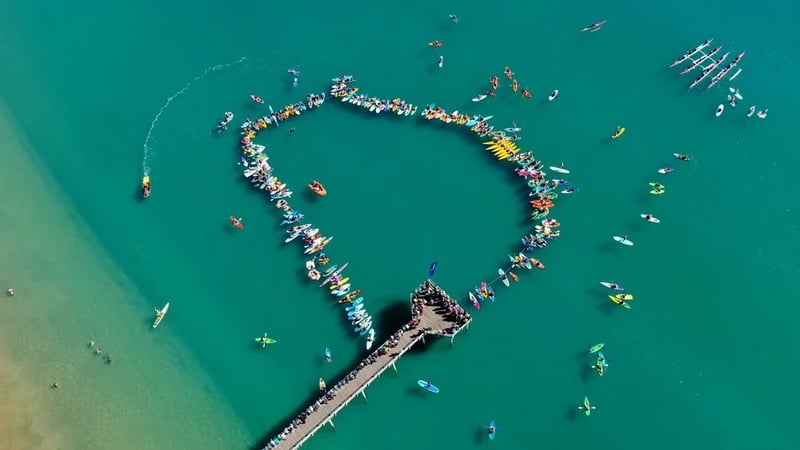 Hervey Bay Whale Festival