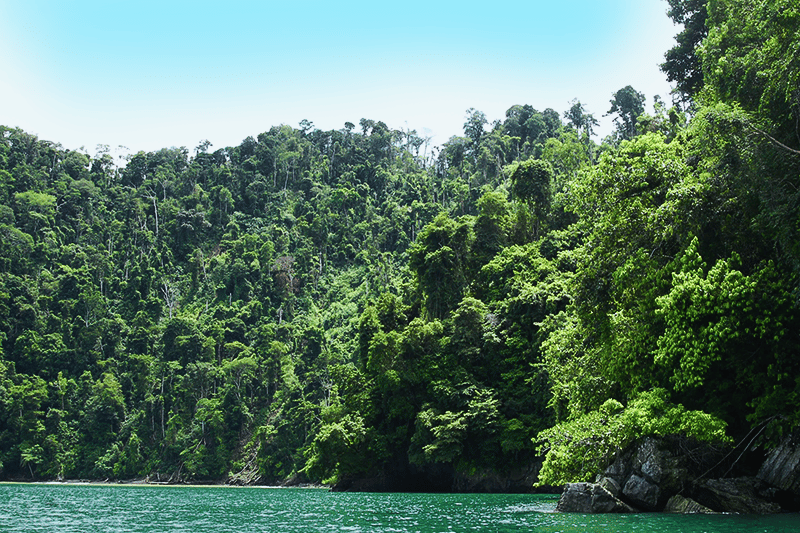 Conservation success at Golfo Dulce