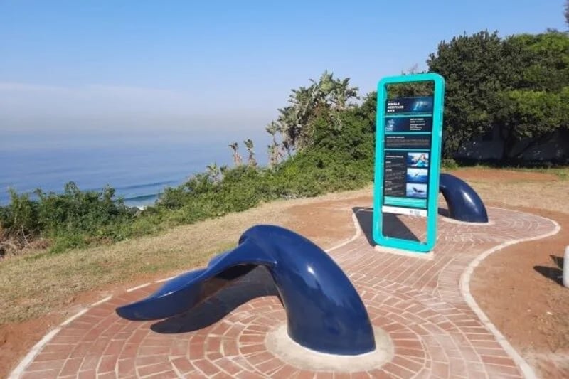 Human-cetacean conflict solutions - The Bluff