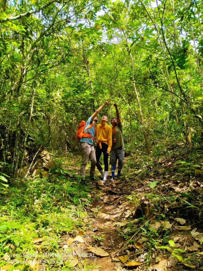 Trekking at Gunung Leuser Orangutan Heritage Area