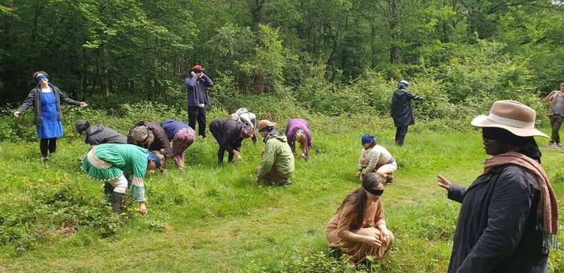 Secret Wildlife Festival