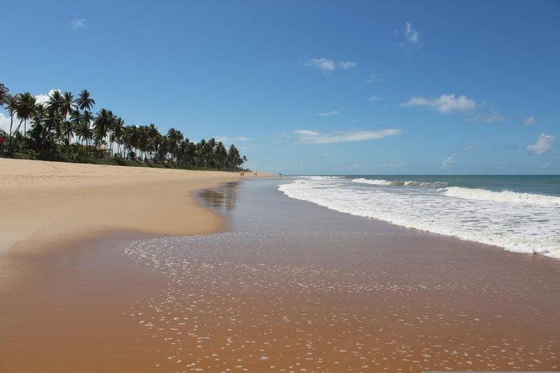 Beach image (Njuliane Pixabay)