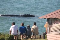 Santa Catarina Nursery Whale Heritage Area