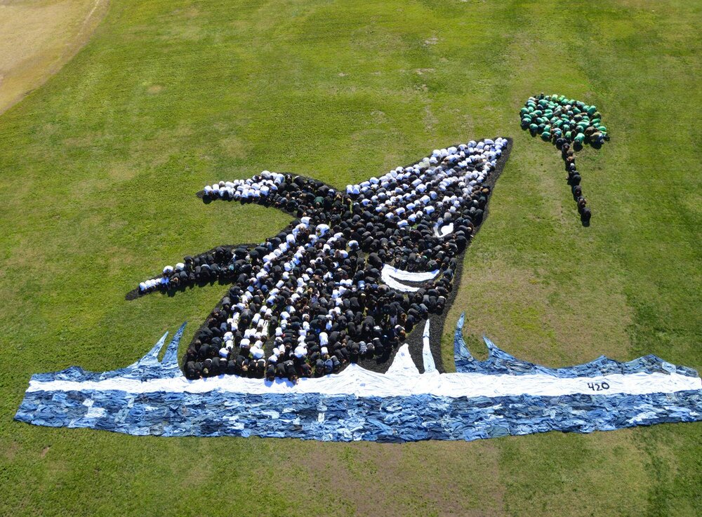 Cultural heritage (new/ modern)