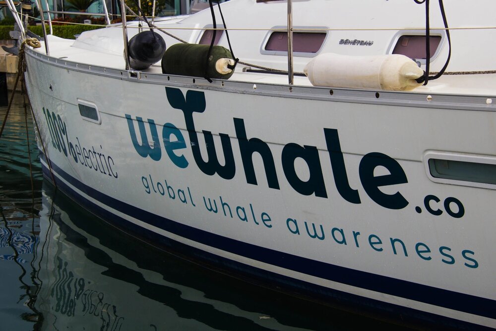 Collaboration for the sake of cetaceans