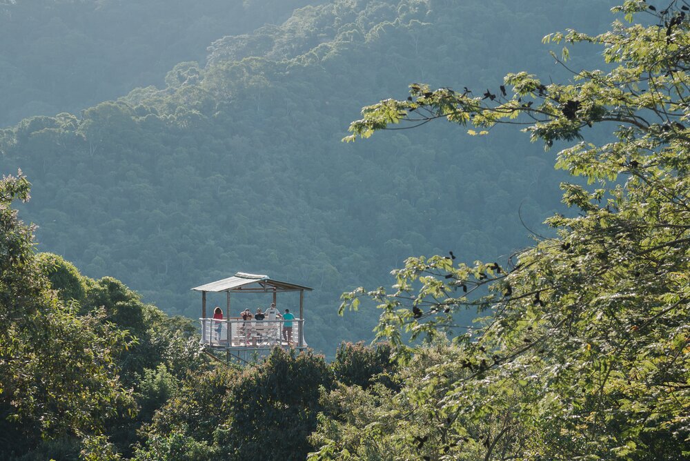 Restoration Tower / Torre da Restauração