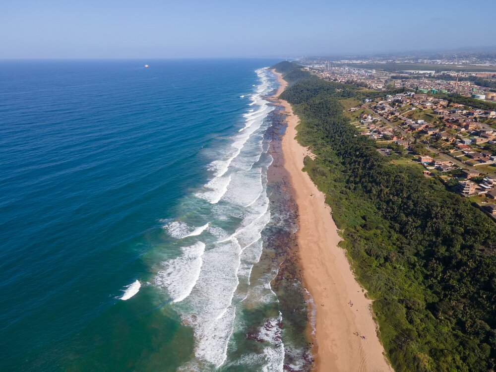 Conservation success