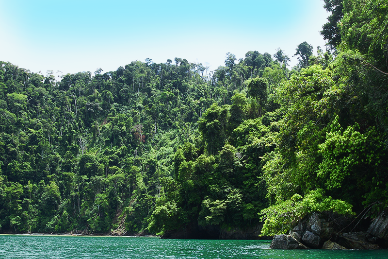 Conservation success