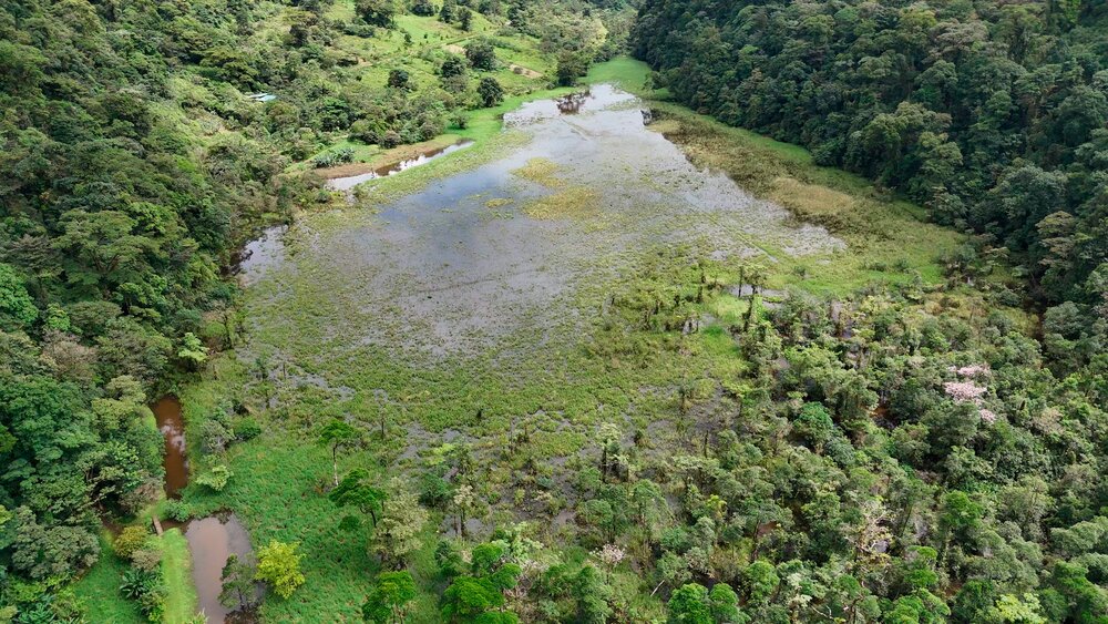 Tapir Valley Nature Reserve