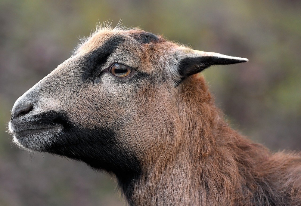 Limiting conflict on agricultural land