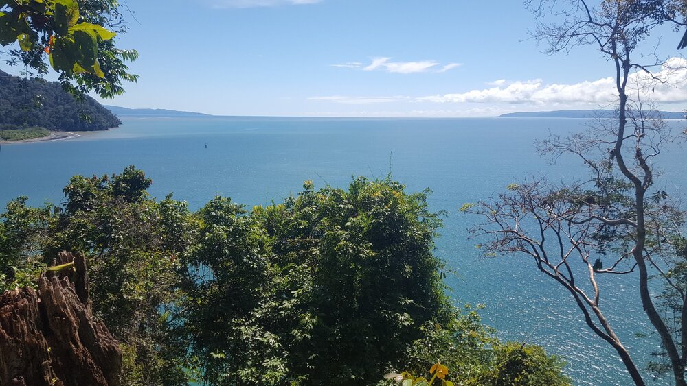 Golfo Dulce Whale Heritage Area