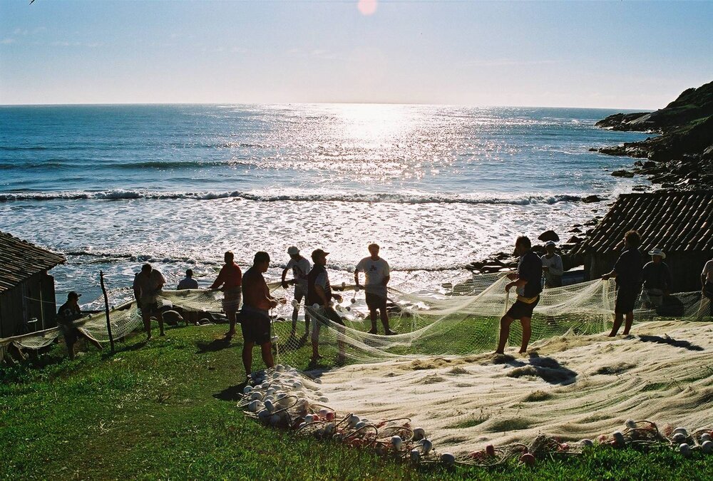 Santa Catarina Nursery Whale Heritage Area