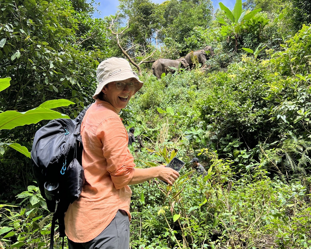 LIFE Elephant Heritage Area